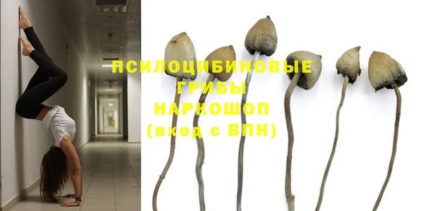 тгк Вязьма