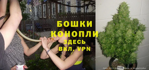 экстази Вяземский