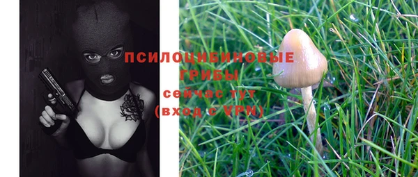 экстази Вяземский