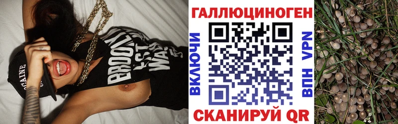 Галлюциногенные грибы MAGIC MUSHROOMS  Мглин 